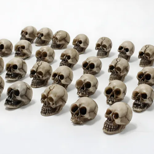 Mini cabezas de calavera para decoración de Halloween, 20 adornos de calaveras realistas, calaveras humanas en miniatura para bar, hogar, decoración