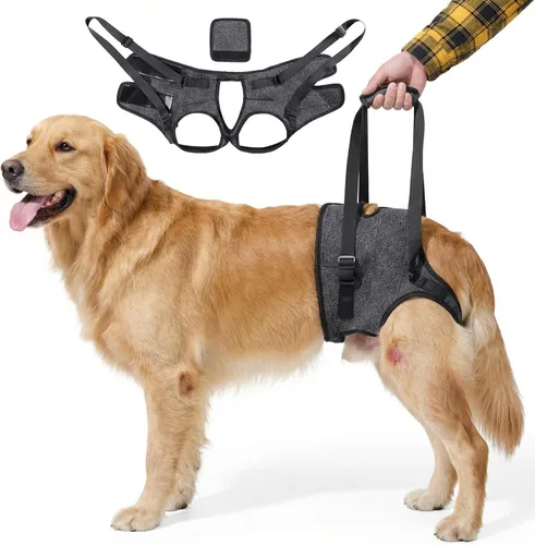Miniatura 8 de Arnés de elevación para perros para patas traseras, soporte resistente para perros, soporte de cadera para caninos grandes y medianos, ayudante