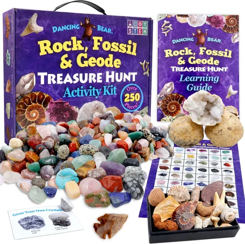 Miniatura 2 de DANCING BEAR Paquete de fósiles de Geología: 2 kits de actividades STEM: actividad de clasificación de rocas, minerales y geodas y fósiles