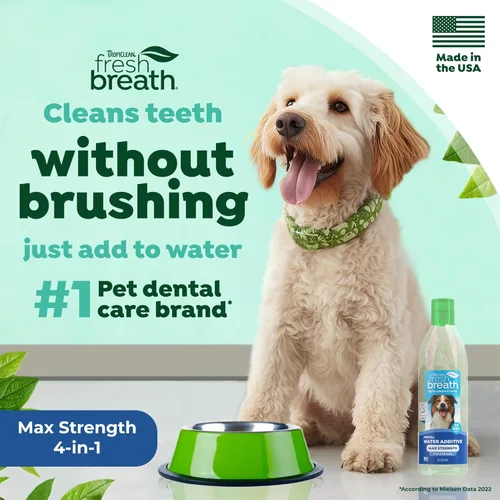 Miniatura 2 de TropiClean Fresh Breath Advanced Whitening - Aditivo blanqueador de agua para perros, solución de máxima potencia para limpieza de dientes de perro