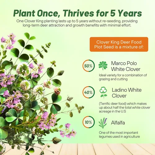 Miniatura 3 de Outsidepride - Semillas Clover King para parcelas de comida de ciervos y vida silvestre, 50 lb