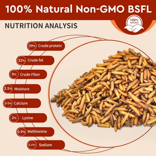Miniatura 5 de BUNTIE WORMS Gusanos secos de mosca del soldado negro 5LB, alimento para pollos alto en proteínas, 100% natural sin transgénicos – Tratamiento