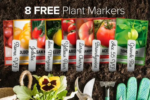 Miniatura 6 de Kit de cultivo de tomates – Cultiva 8 variedades de deliciosos tomates – Semillas de reliquia sin OMG, kit completo de semillas de tomate