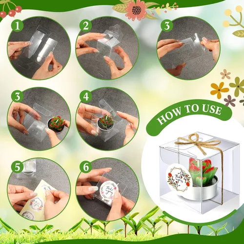 Miniatura 3 de MTLEE Juego de 24 velas de cactus para regalo, delicadas velas de cactus suculentas, mini plantas, recuerdo de fiesta para el día de San Valentín