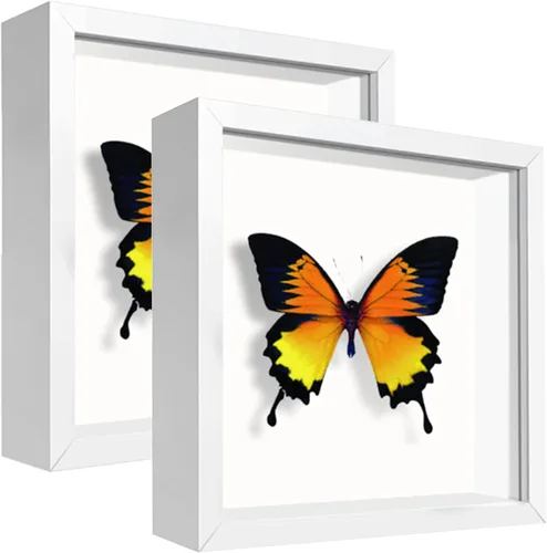 Miniatura 48 de Caja expositora de 8 x 8 pulgadas con calcomanías de letras, vitrina para recuerdos, artículos de bebé, recuerdos de boda, manualidades, boletos