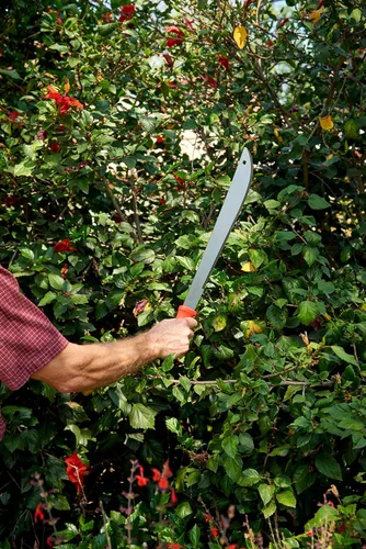 Miniatura 4 de Corona MA 60061 Ergohandle Machete, 18