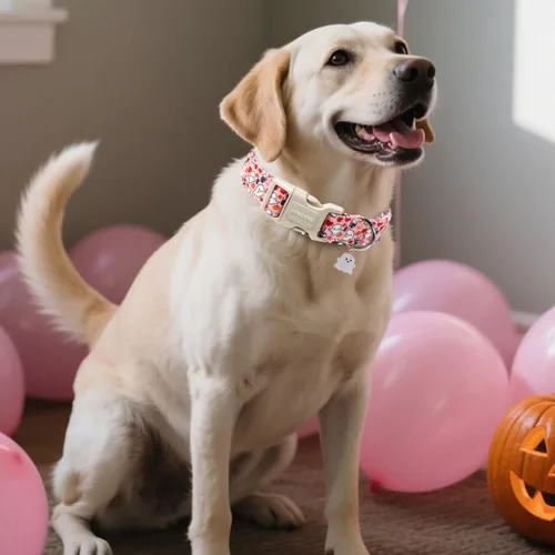 Miniatura 4 de DOGWONG Collar de Perro de Halloween, Collar de Perro de Halloween Rosa Ajustable Suave Lindo Collar de Fantasma Niña para Mascotas Perros Lindos