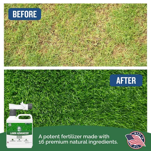 Miniatura 5 de Turf Titan Lawn Advancer - Fertilizante líquido de acción rápida para césped (32 onzas) con pulverizador de extremo de manguera, potenciador