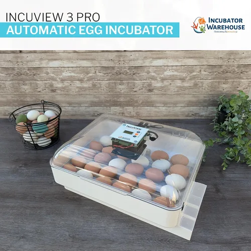 Miniatura 2 de IncuView 3 Pro Incubadora automática todo en uno para huevos de gallina (universal) Huevos para incubar Girador automático de huevos Pollo