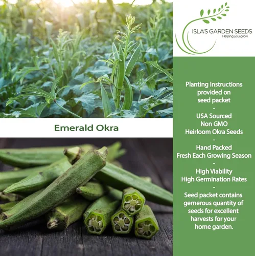 Miniatura 2 de Semillas de okra esmeralda para plantar (Abelmoschus esculentus) – Más de 150 semillas sin OMG y reliquias de Isla's Garden Seeds, cápsulas verdes