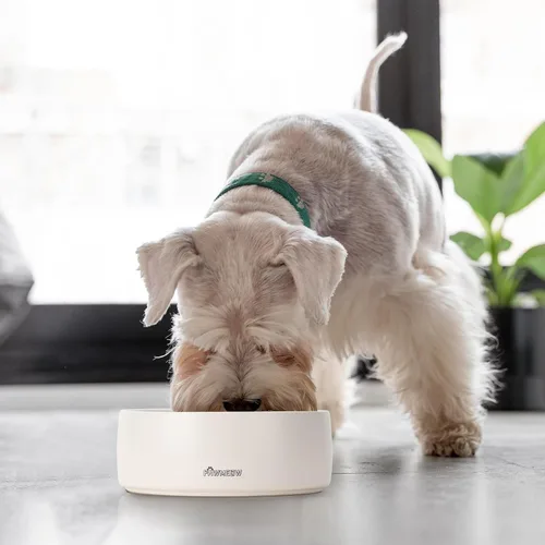 Miniatura 6 de Cuenco de cerámica para perros – Comedero para perros pequeños y medianos de 5.5 pulgadas, resistente a derrames, cuenco moderno y resistente