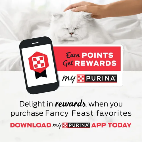 Miniatura 12 de Comida seca Purina Fancy Feast para gatos con pescado del océano y salmón - Bolsa de 3 libras