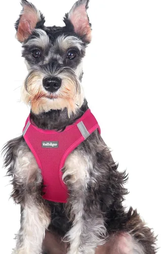 Miniatura 92 de rabbitgoo Arnés para perro pequeño, chaleco de malla suave para cachorros con hebilla de seguridad, arnés reflectante transpirable para mascotas