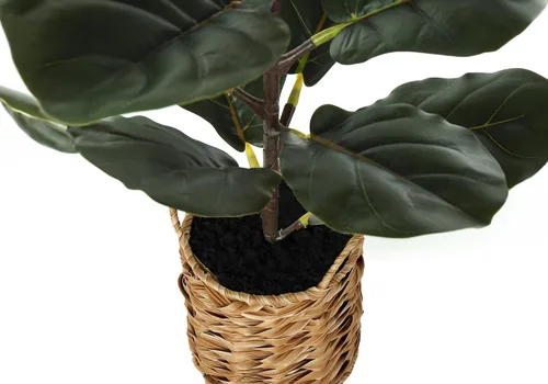 Miniatura 3 de Monarch Specialties I 9505 Planta artificial, 28 pulgadas de alto, árbol de violín, interior, falso, falso, suelo, vegetación, maceta, tacto real