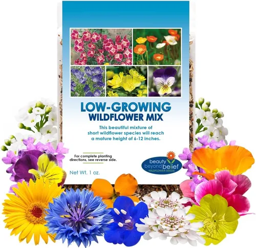Mezcla de semillas de flores silvestres de bajo crecimiento, flores cortas de 1 oz, 6 a 12 pulgadas, mezcla natural sin OMG de semillas de jardín