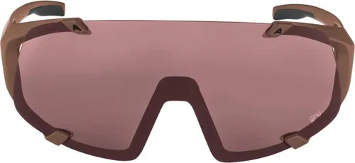 Miniatura 3 de ALPINA Gafas unisex Hawkeye Q-litesports