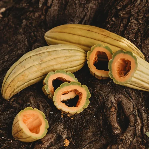 Melón de plátano - 25 semillas - Variedad de reliquia y polinizada abierta, dulce y fácil de cultivar, semillas de frutas y verduras sin OMG para