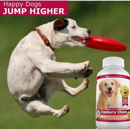 Miniatura 3 de Arándano para perros Amazing, antioxidante, ayuda al tracto urinario, previene y elimina Infecciones urinarias en perros, 120 masticables
