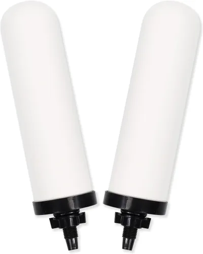 Paquete de 2 velas de filtro de agua de cerámica de 7 pulgadas, filtros de repuesto de filtro de agua de 7 pulgadas con carbón activado para sistema