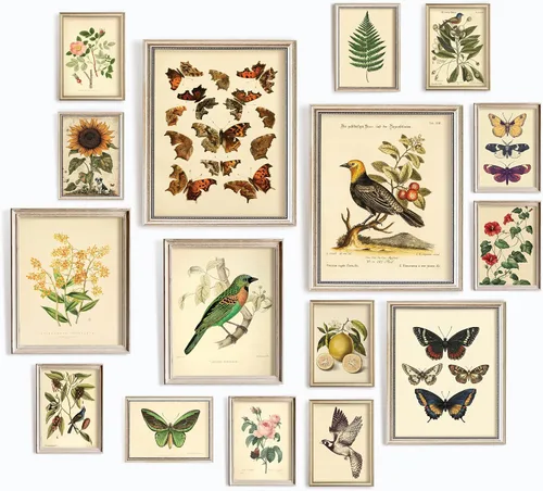 97 Decor Decoración de pared botánica vintage grande de 11 x 14 pulgadas, pósteres de plantas para estética de habitación, impresiones botánicas