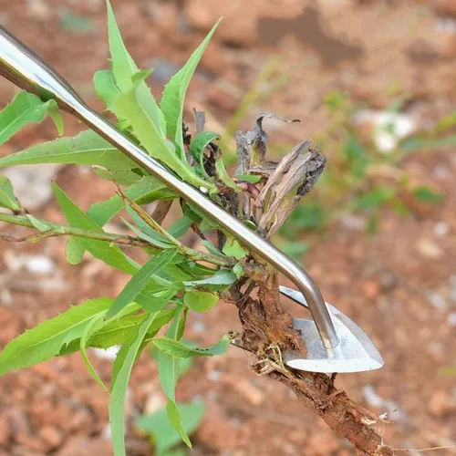 Miniatura 8 de VIGAN 1 Uds. Multifuncional Jardín Weeders Hierba Rooting Suelo Suelto Eliminación de Deshierbe de mano Extractor de Deshierbe Acero Inoxidable