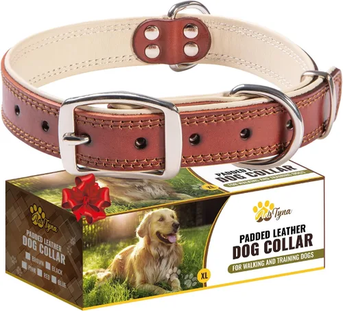 Miniatura 21 de ADITYNA Collar de perro de cuero rosa resistente para perros grandes, forrado con cuero suave, collar de perro para caminar, entrenar y senderismo