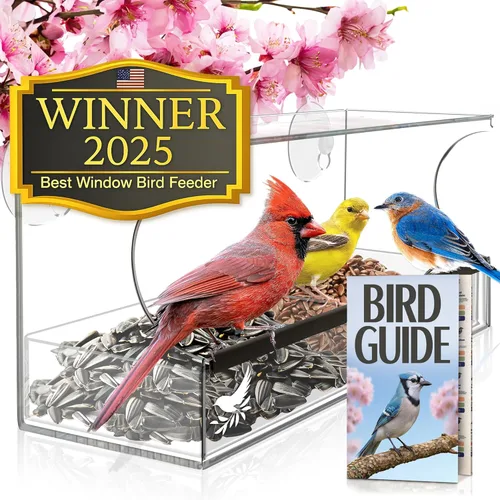 Miniatura 12 de Comederos de pájaros transparentes para ventanas con vista interior - Comedero de casa de pájaros con ventosas - Comedero de casa de pájaros