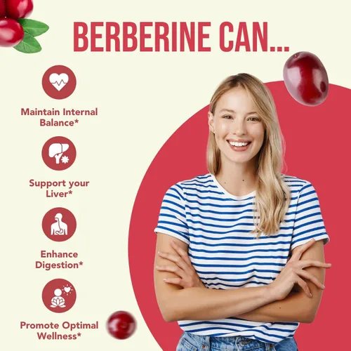Miniatura 6 de Suplemento de berberina de alta resistencia de 500 mg – Una vez al día potente berberina 500 mg Suplemento antioxidante de quercetina