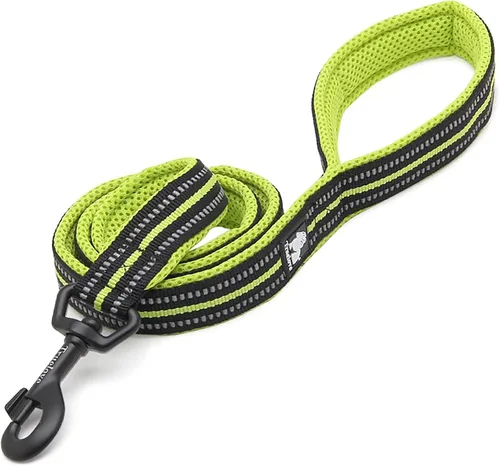 Miniatura 12 de TRUE LOVE Correa reflectante para perro Truelove TLL2111 (Negro, M)