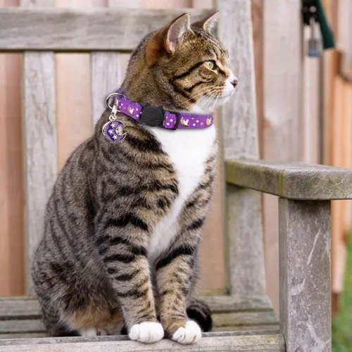 Miniatura 7 de 2 piezas de collares de gato separables Collares de gato para gatos machos y hembras Collares ajustables para gatitos con campana, púrpura +
