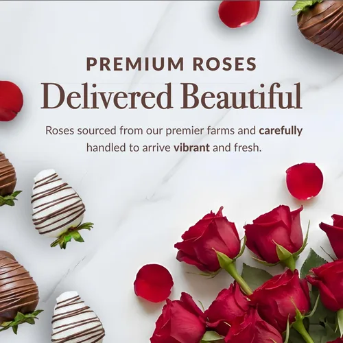Miniatura 4 de Shari's Berries Juego de regalo de 12 rosas rojas clásicas y 6 fresas cubiertas de chocolate Caja de regalo de chocolate y flores frescas