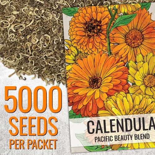Miniatura 3 de Seed Needs semillas de Caléndula Pacific Beauty Mix más de 5,000 semillas Calendula Officinalis no modificadas genéticas anuales grandes flores