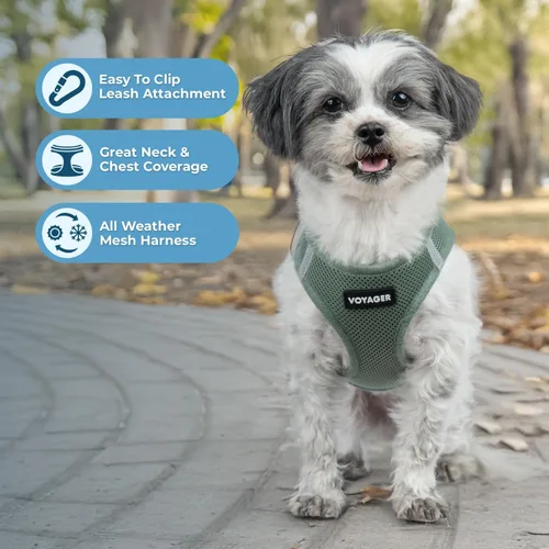 Miniatura 129 de Best Pet Supplies Voyager Step-in Air Arnés – Malla para todo clima, reflectante, arnés antitirones para perros y gatos, seguro con cierre de gancho