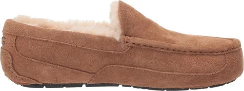 Miniatura 6 de UGG Pantuflas Ascot para hombre Negro