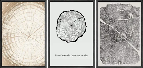 Miniatura 57 de SIGNWIN Lienzo enmarcado para pared, arte con pinceladas de flujo neutro en tonos beige abstractos, ilustraciones, arte moderno, decorativo
