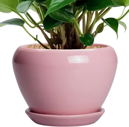 Miniatura 40 de Maceta de Cerámica Moderna con Esmalte para Suculentas con Agujero de Drenaje y Platillo, Maceta Redonda de 6 Pulgadas para Plantas de Flores