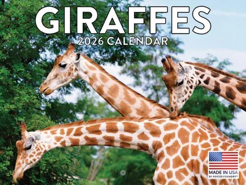 Miniatura 42 de Calendario alpaca 2026, calendario mensual de pared de 12 meses Hecho en Estados Unidos.