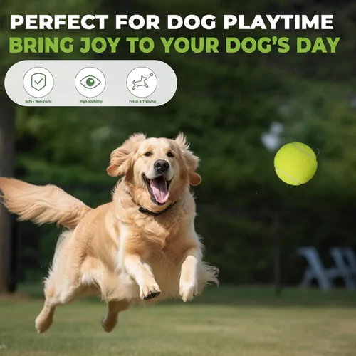 Miniatura 7 de INSUM Bulk Tennis Balls for Beginner – 20/30/60/120 Pack High Elasticity Practice Tennis Balls with Mesh Bags, Portable for Pet Dog Outdoor Playing