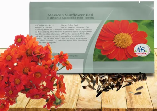 Outsidepride Red Torch - Semillas de girasol mexicano, 1000 semillas anuales Tithonia, de crecimiento rápido, tolerantes al calor y a la sequía para