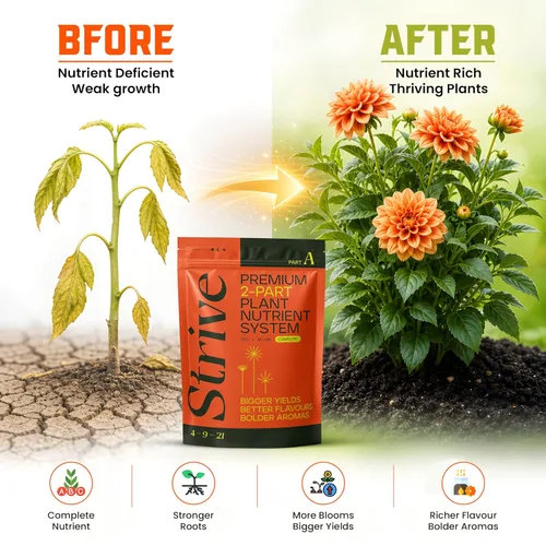 Miniatura 5 de Strive Fertilizer Part A Package – Nutrientes hidropónicos generales Veg + Bloom – Alimento vegetal de primera calidad para interiores, exteriores