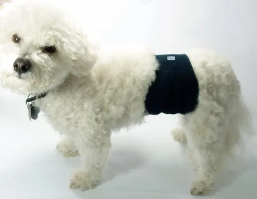 Miniatura 9 de Pañales envolventes reusables para perros machos, banda para barriga para cachorros lavable, Teamoy