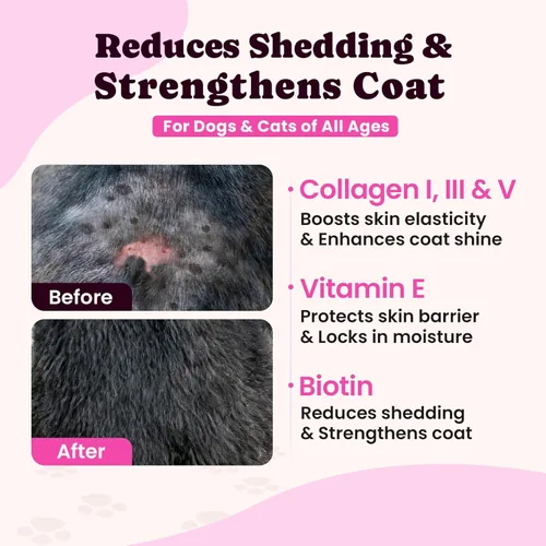 Miniatura 4 de Colágeno Premium para Perros y Gatos – 5 Tipos de Colágeno Alimentado con Hierba (I, II, III, V y X), Alivio Rápido de Alergias y Picazón