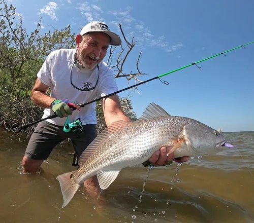 Miniatura 3 de Q8 Super Bait Super Camarones Peneo natural