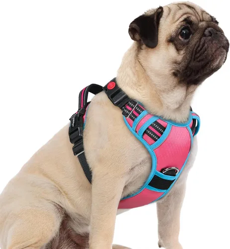 Miniatura 15 de rabbitgoo Arnés para perro de tamaño pequeño, chaleco para perro sin tirones con 3 hebillas, arnés ajustable y acolchado suave para mascotas con asa