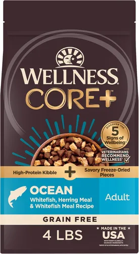 Wellness CORE+ Alimento seco para perros adultos con trozos liofilizados, croquetas sin granos, natural, alto en proteínas, sin pollo, pescado