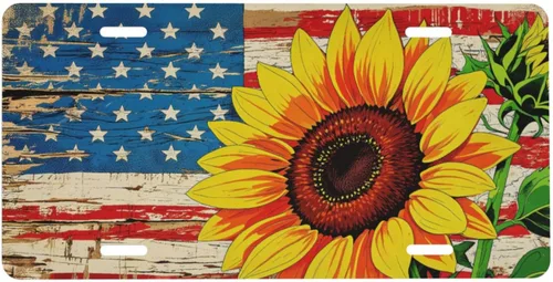 Placa delantera retro con bandera americana y girasol para auto de mujer, placas decorativas de aluminio metálico, linda placa novedosa para hombre,