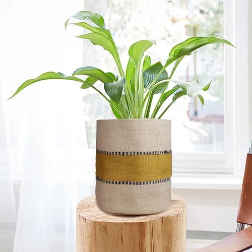 Miniatura 22 de Cesta de Maceta de Yute Resistente, Cesta Tejida Moderna, Maceta para Flores, Maceteros de Interior para Suelo, Cesta Organizadora de Almacenamiento