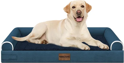 Miniatura 121 de Cama ortopédica lavable para perros medianos y grandes: cama con cojines de apoyo para perros medianos y grandes, cama impermeable de espuma tipo