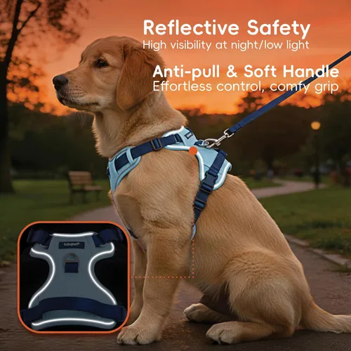 Miniatura 4 de Arnés para Perro Sin Tirones, Juego de Correa y Collar, Chaleco Suave y Ajustable para Perros, Reflectante y con Mango Cómodo Azul, Talla Pequeña