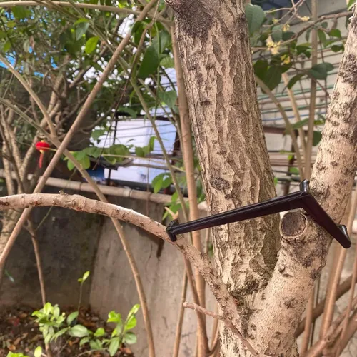 Cunguv Esparcidor de ramas de árboles frutales para una fuerte extensión de ramas de ángulos de entrepierna, ramas de bonsái de plástico, negro 25
